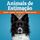 Artikelbild von Animais de Estima&ccedil;&atilde;o