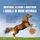 Artikelbild von Mantenere, allevare e addestrare i cavalli in modo naturale: Il libro del cavallo per una maggiore gioia nell'equitazione e un legame pi&ugrave; stretto con il suo cavallo - inclusa la guida sanitaria