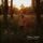 Artikelbild von Fletcher Moss Park