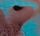 Artikelbild von Meddle
