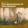 Artikelbild von The Adventures of Tom Sawyer