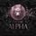 Artikelbild von New York Alpha (Part 3)