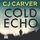 Artikelbild von Cold Echo