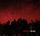 Artikelbild von Red Skies