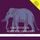 Artikelbild von The Stolen White Elephant