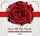 Artikelbild von Roses of the classics-Flute