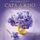 Artikelbild von The Violets of March
