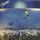 Artikelbild von Night Birds