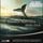 Artikelbild von Moby-Dick oder Der Wal