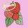 Artikelbild von Raspberries: Classic Album Set