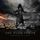 Artikelbild von Symphony Of Light