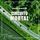 Artikelbild von Circuito mortal