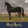 Artikelbild von Black Beauty