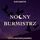 Artikelbild von Nocny Burmistrz