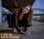 Artikelbild von A Day On Solid Ground