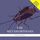 Artikelbild von The Metamorphosis