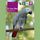 Artikelbild von El loro gris