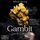 Artikelbild von Gambit