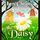 Artikelbild von The Daisy