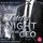 Artikelbild von Fateful Night with the CEO (Fateful Nights 3)