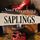 Artikelbild von Saplings