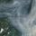 Artikelbild von Caught In The Trees