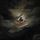 Artikelbild von Star Dreams