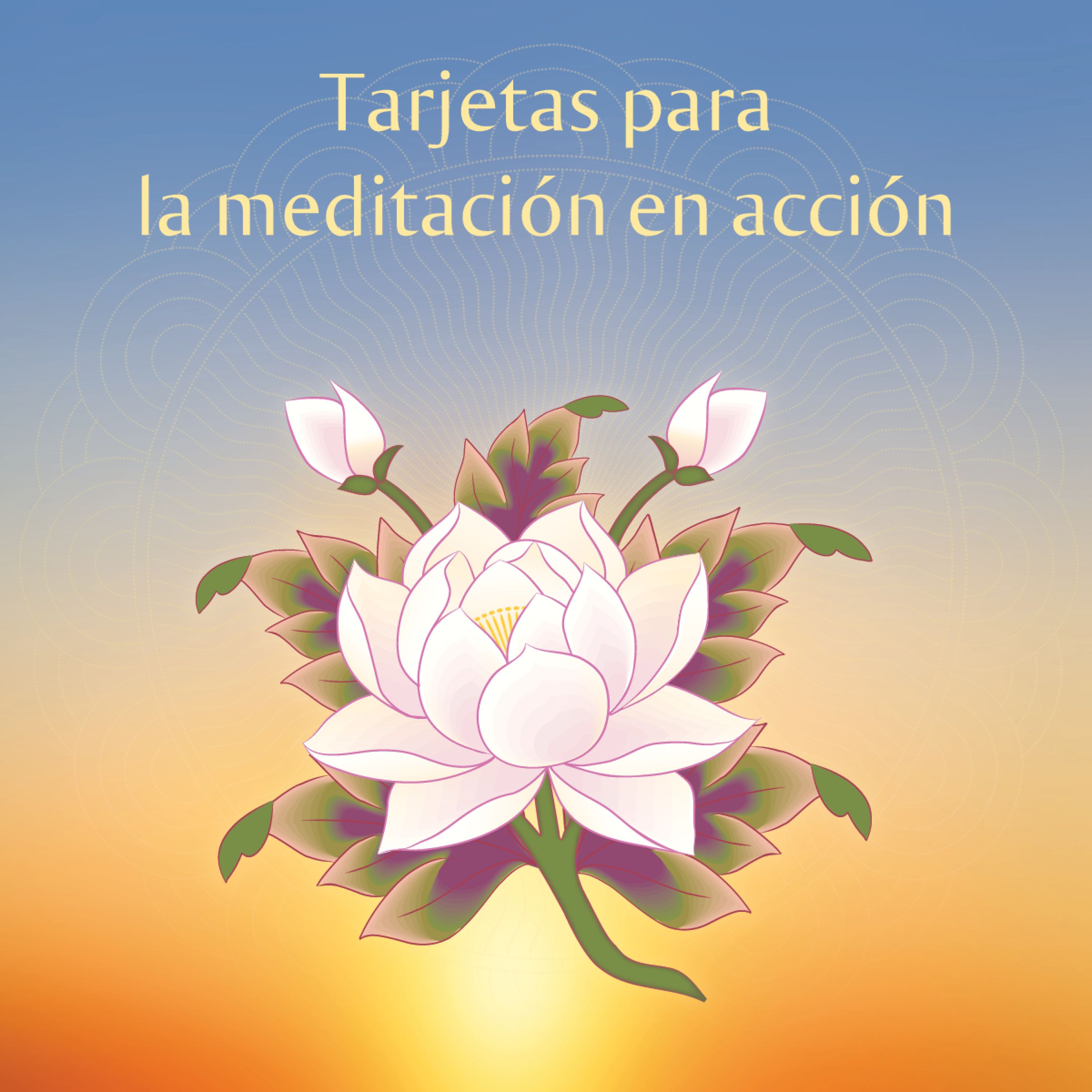 Artikelbild von Tarjetas de meditaci&oacute;n en acci&oacute;n