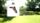 thumbnail-10