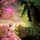 Artikelbild von Wicked