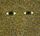 Artikelbild von Flying Lotus: Pattern+Grid World