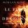 Artikelbild von Le Fils des Dragons (Le Temps des Sorciers &mdash; Tome Trois)