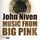 Artikelbild von Music from Big Pink