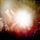 Artikelbild von Live At Scala