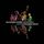Artikelbild von A Bigger Bang,Live In Rio 2006 (Ltd.Colour 3LP)