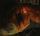 Artikelbild von Shadowlands