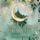 Artikelbild von Moonlight Academy. Feenzauber