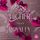 Artikelbild von Higher Than Royalty 6: Die Liebe eines Bruders