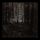 Artikelbild von And the Forests Dream Eternally