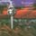 Artikelbild von Graaf Generator, v: Least We Can Do Is Wave To Each Other