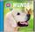 Artikelbild von WAS IST WAS Hörspiel-CD: Hunde