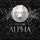 Artikelbild von New York Alpha (Part 6)