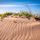 Artikelbild von Road through the dunes
