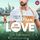 Artikelbild von MAINHATTAN LOVE – Wie Liebe vereint (Die City Options Reihe)