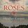 Artikelbild von Stealing Roses