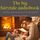 Artikelbild von The big fairytale audiobook