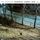 Artikelbild von The Invariant
