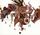 Artikelbild von Manes: Be All End All