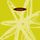Artikelbild von Orbital (The Green Album) (2CD)