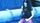 thumbnail-12